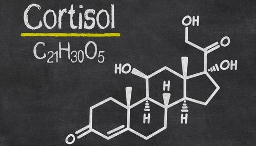 formula quimica del cortisol